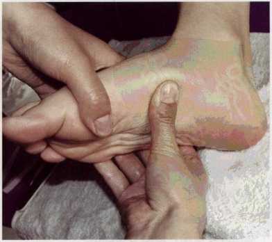 图5-23揉捏踝关节内侧,将顾客足部侧放, 踝关节内侧向上并进行按摩